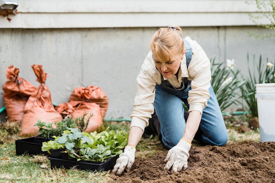 A gardener's hand sifting dark, crumbly compost into a freshly prepared garden bed.