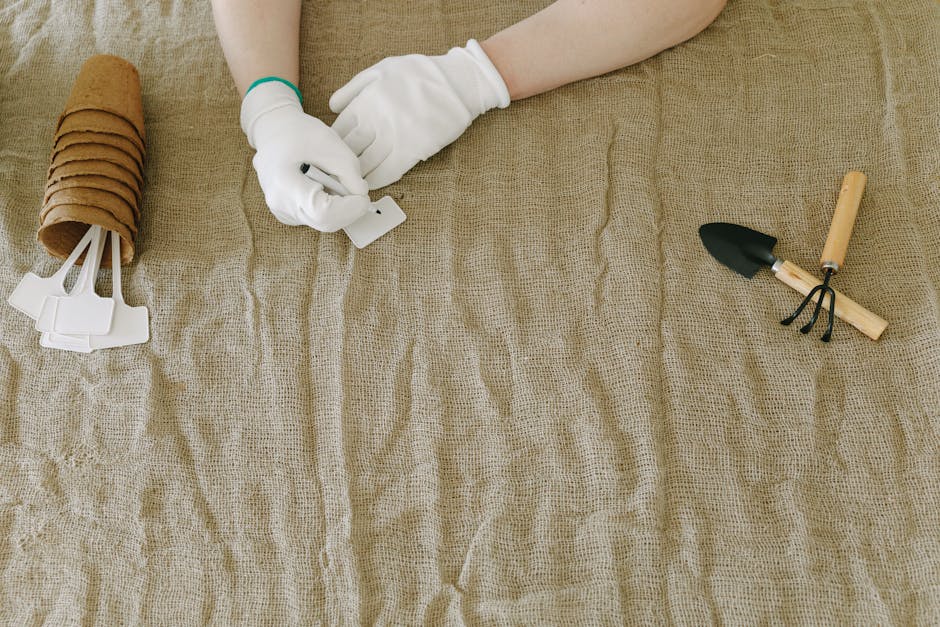 A well-organized garden with a wide gravel path, wooden raised beds, and a rain barrel collecting water from a shed roof.